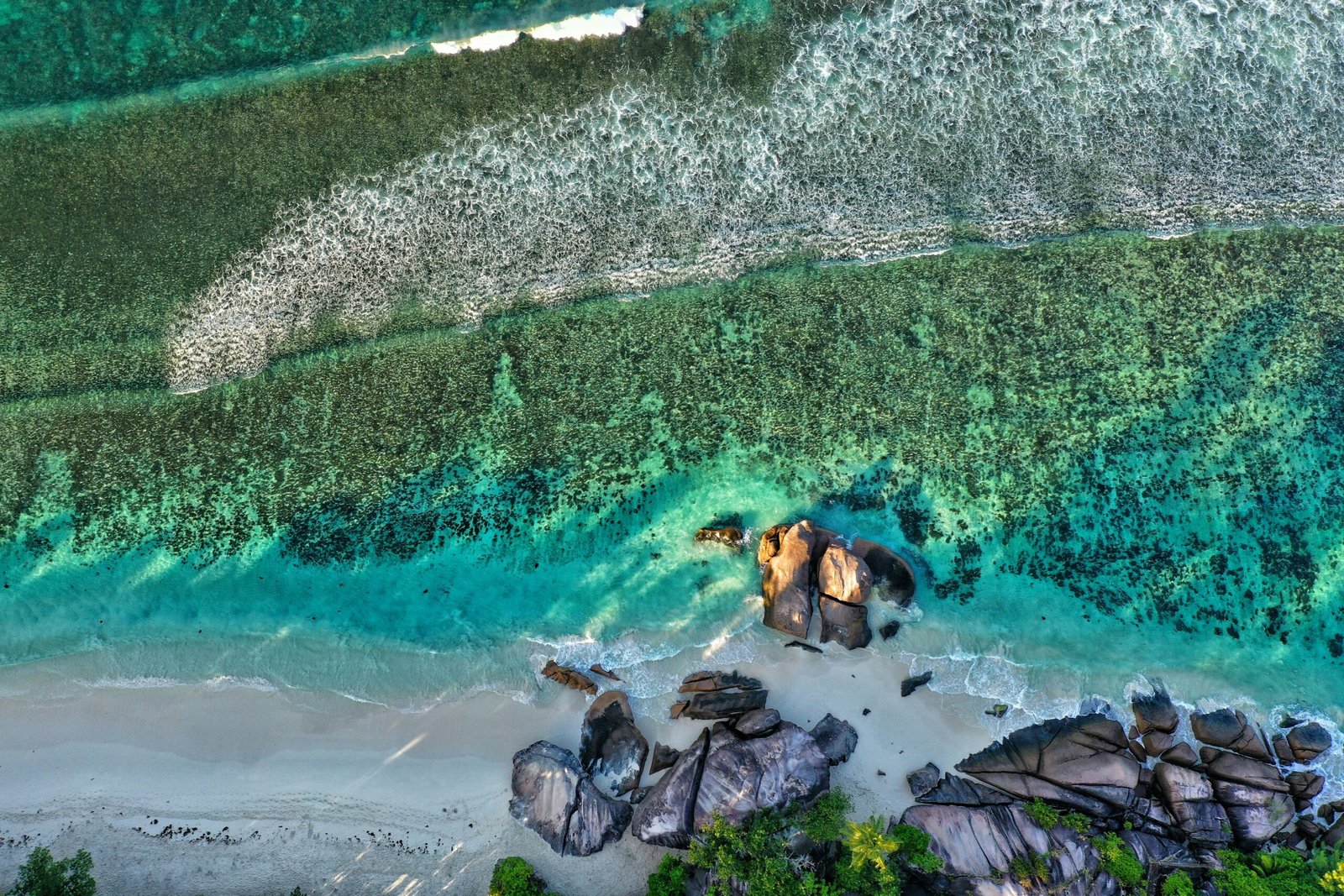 aerial view of green and brown lake